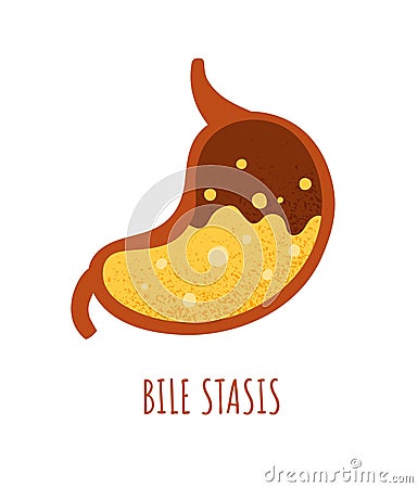 Bile stasis stomach concept Vector Illustration