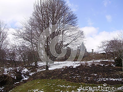 Biltmore house in the background Editorial Stock Photo