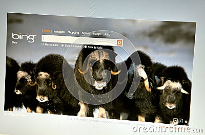 Bing Italy website Editorial Stock Photo