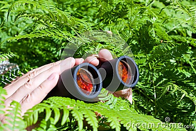 binoculars-hand-bushes-15145842.jpg