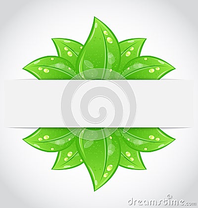 Bio concept design eco friendly banner Vector Illustration