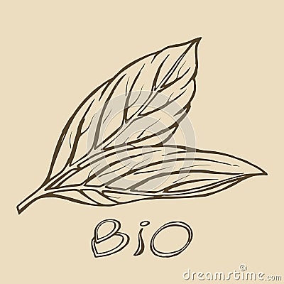 Bio leaf logo sketch Vector Illustration