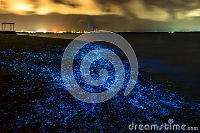 Bio luminescence. Illumination of plankton at Maldives Stock Photo