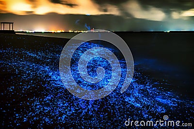 Bio luminescence. Illumination of plankton at Maldives. Many bri Stock Photo