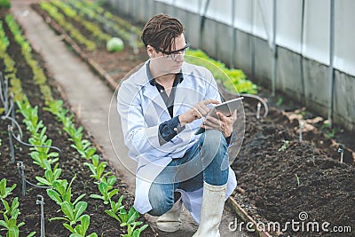 Bio scientist work collecting plant grow condition data in the agriculture farm in table computer Stock Photo