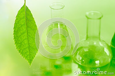 Bio Technology of Green nature herbal extraction in laboratory Stock Photo