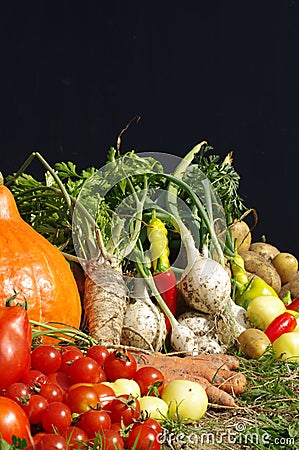 Bio vegetables still life Stock Photo