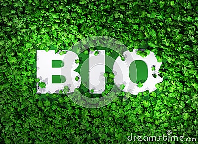 BIO word among the grass Stock Photo