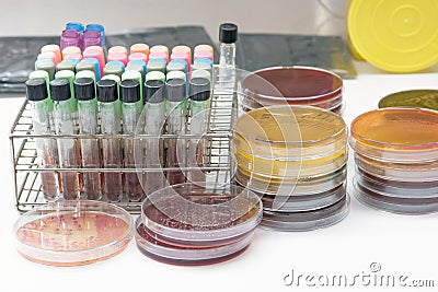 Biochem test kit for identified pathogen. Stock Photo