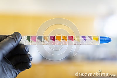 Biochemical test for bacteria identification Stock Photo