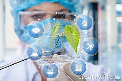 Biochemist is studying the sample . Stock Photo