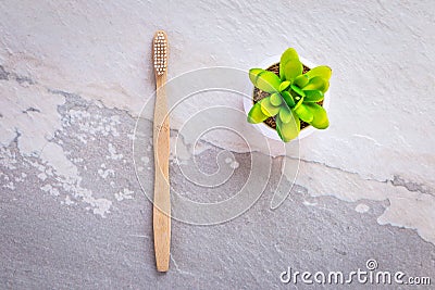 Biodegradable bamboo toothbrush on a granite countertop Stock Photo