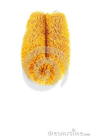 Biodegradable cleaning brush made from coconut husk. Stock Photo