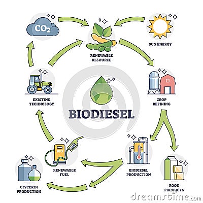 Biodiesel fuel life cycle explanation with all usage stages outline diagram Vector Illustration