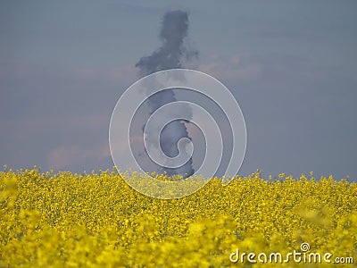 Biodiesel production Stock Photo