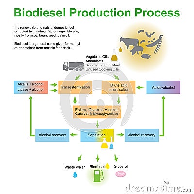 Biodiesel Production Process Vector Illustration