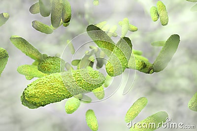 Biofilm containing bacteria Klebsiella Cartoon Illustration