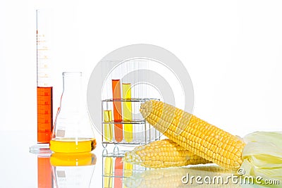 Biofuel or Corn Syrup Stock Photo