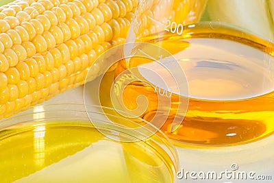 Biofuel or Corn Syrup sweetcorn Stock Photo
