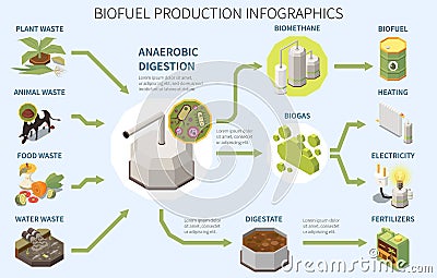 Biofuel Production Infographics Vector Illustration