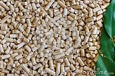 Biofuels. Alternative biofuel from sawdust , wood pellets for boilers Ð¸ green leaves for background Stock Photo