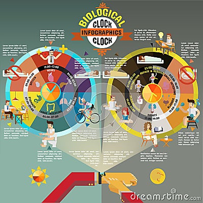 Biological Clock Vector Illustration