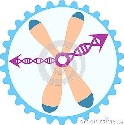 Biological clock within somatic cell Vector Illustration