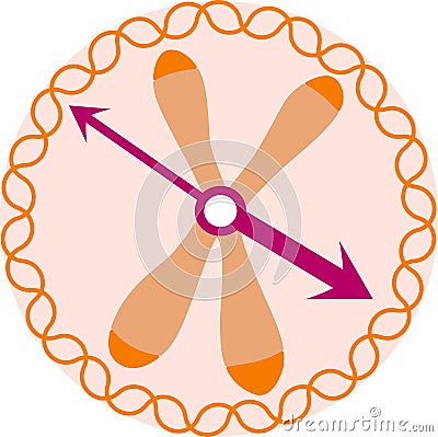 Biological clock within somatic cell Vector Illustration