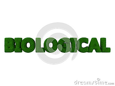 Biological Grass Word Stock Photo
