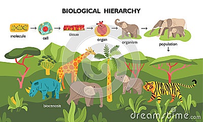 Biological Hierarchy Landscape Composition Vector Illustration