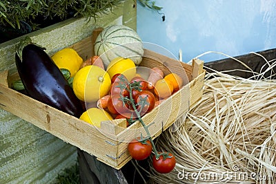 Biological vegetable case Stock Photo