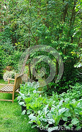 Biological vegetable garden or Kitchen garden. Organic green fresh food. with own grown vegetables and fruits. cosy little garden Stock Photo