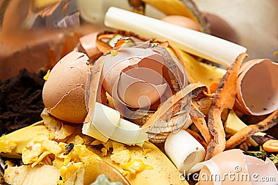 Biological waste, rotten food, leftovers Stock Photo