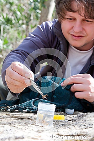 Biologist collecting larvas Stock Photo