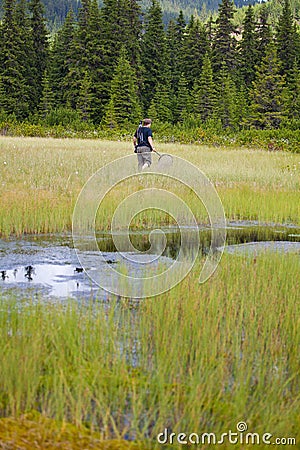 Biologist exploring a bog Stock Photo