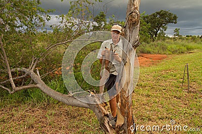 Biologist out in the savannas of Brazil, inspecting a tree Stock Photo
