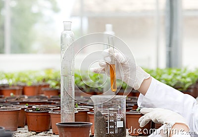 Biologist with test tube in greenhouse Stock Photo