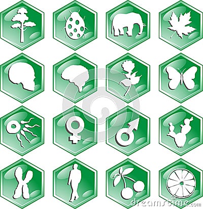 Biology icons Vector Illustration