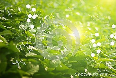 Biology laboratory nature and science, Plants with biochemistry structure on green background Stock Photo