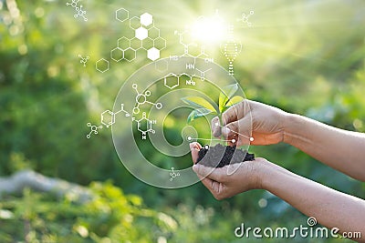 Biology laboratory nature and science, Plants with biochemistry structure on green background Stock Photo