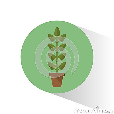 Biology plant pot school Vector Illustration