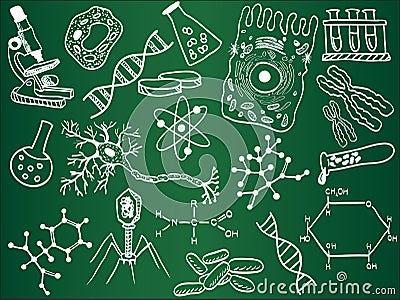 Biology sketches on school board Vector Illustration