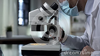 Biology student lowering microscope objective to look at sample, education Stock Photo