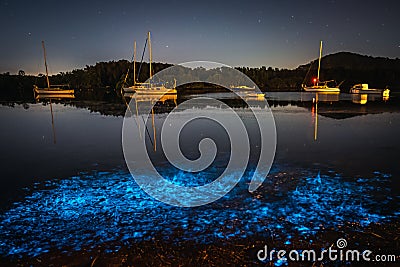 Bioluminescence glow in the bay nightscape with boats Stock Photo