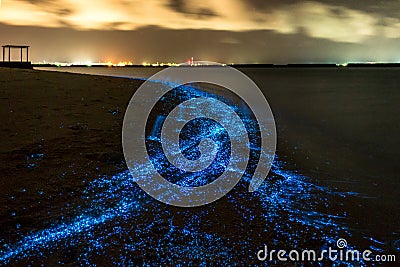 Bioluminescence. Illumination of plankton at Maldives. Stock Photo