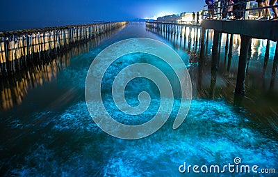 Bioluminescence in night blue sea water.Blue fluorescent wave of bioluminescent plankton about mangrove forest in Khok Kham ,Samut Stock Photo