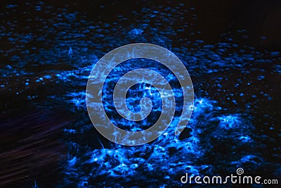 Bioluminescence sea sparkle in ocean tide Stock Photo