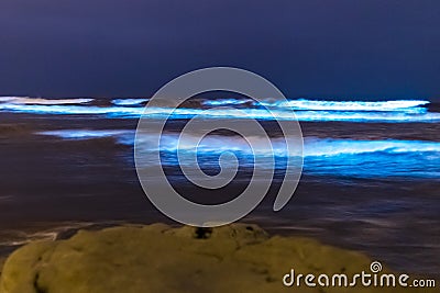 Bioluminescent tide glows in Del Mar, California Stock Photo