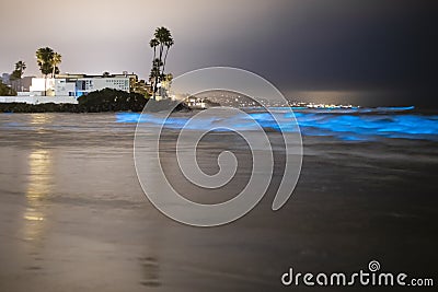 Bioluminescent tide glows next to beach homes and palm trees Stock Photo
