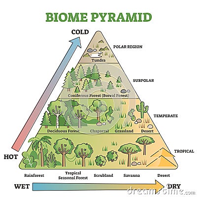 Biome pyramid as ecological weather or climate classification outline diagram Vector Illustration